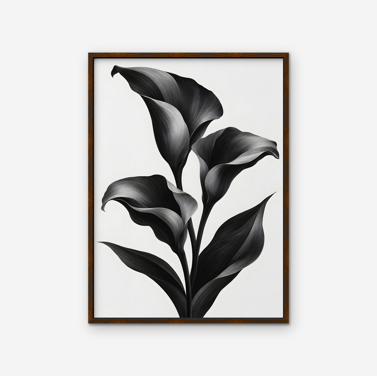 Black Calla Lilies Canvas Art - Vertical – Walnut Floating Frame on white background