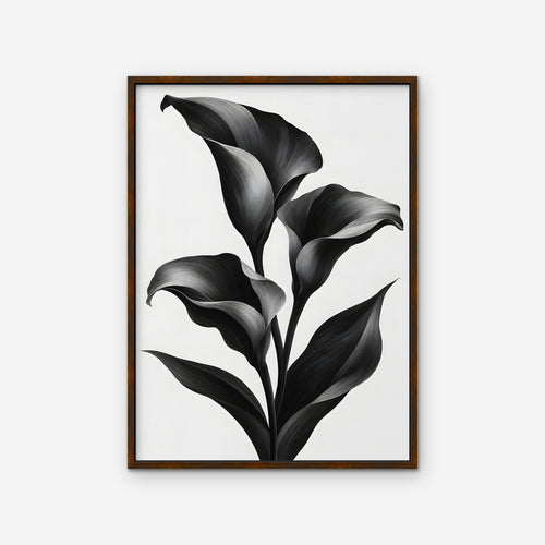 Black Calla Lilies Canvas Art - Vertical – Walnut Floating Frame on white background