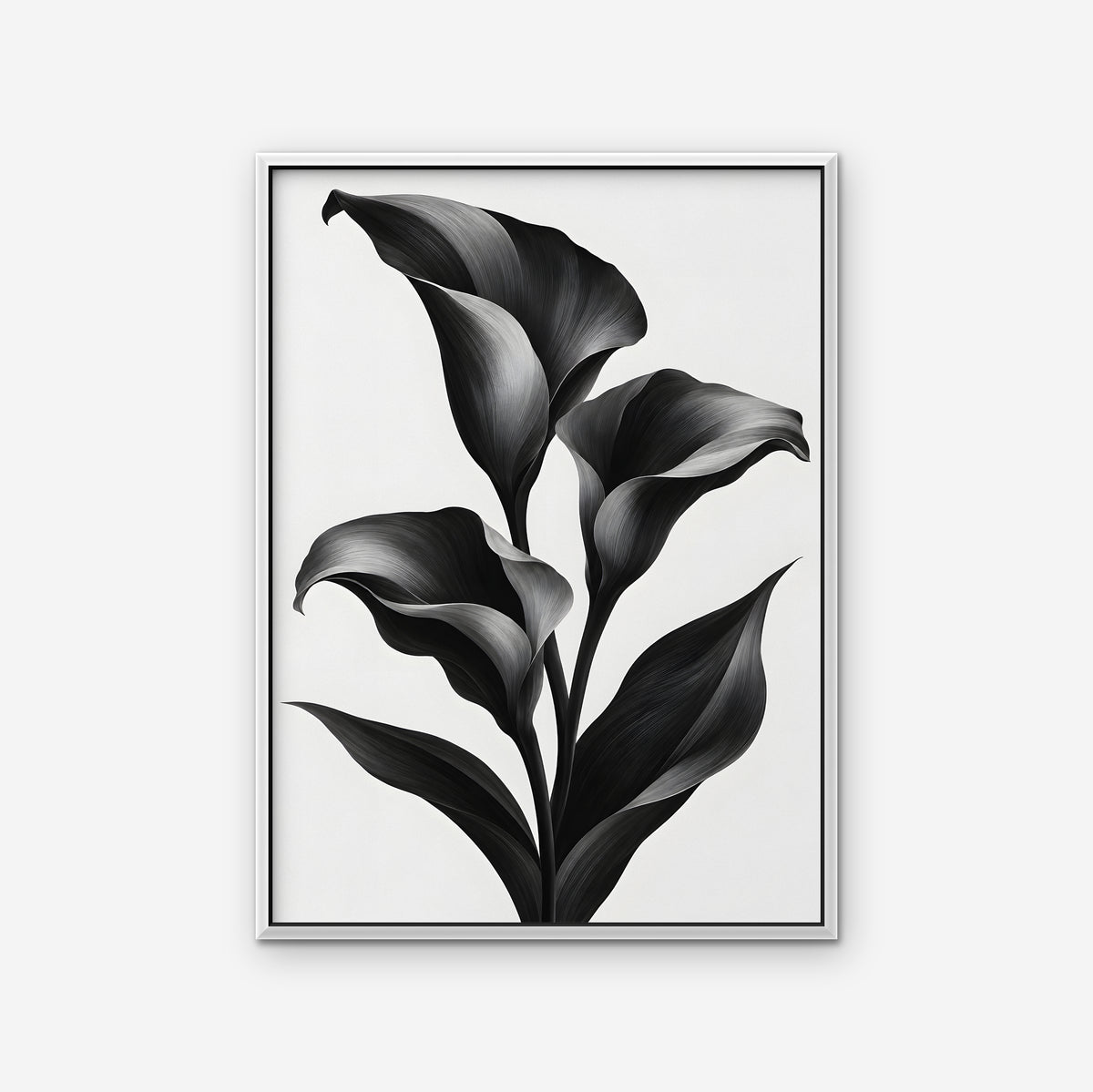 Black Calla Lilies Canvas Art - Vertical – White Floating Frame on white background