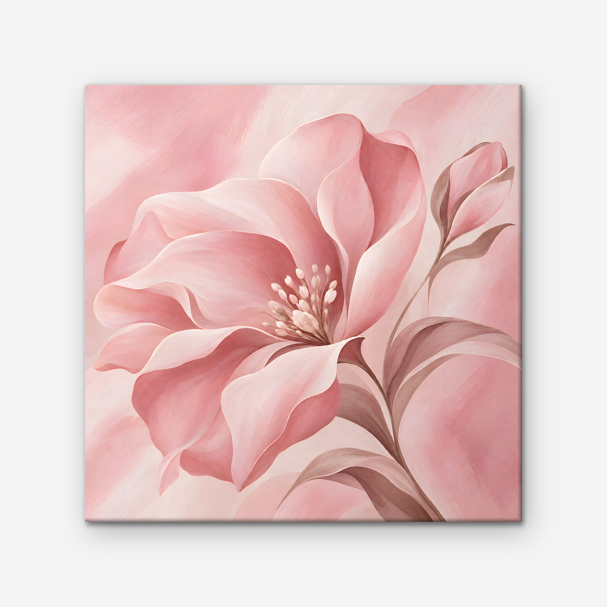 Blush Pink Bloom Canvas Art - Square – Stretched Canvas Only on white background