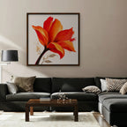 Fiery Lily Canvas Art - Square – Walnut Floating Frame in room setting