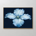 Moonlit Iris Whisper – beige and white botanical canvas wall art print by Aspire Prints