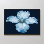 Moonlit Iris Whisper – beige and white botanical canvas wall art print by Aspire Prints
