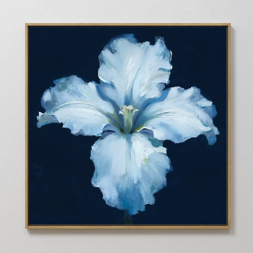 Moonlit Iris Whisper – beige and white botanical canvas wall art print by Aspire Prints