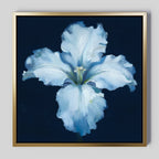 Moonlit Iris Whisper – beige and white botanical canvas wall art print by Aspire Prints