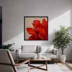 Red Silk Bloom Canvas Art - Square – Black Floating Frame in room setting