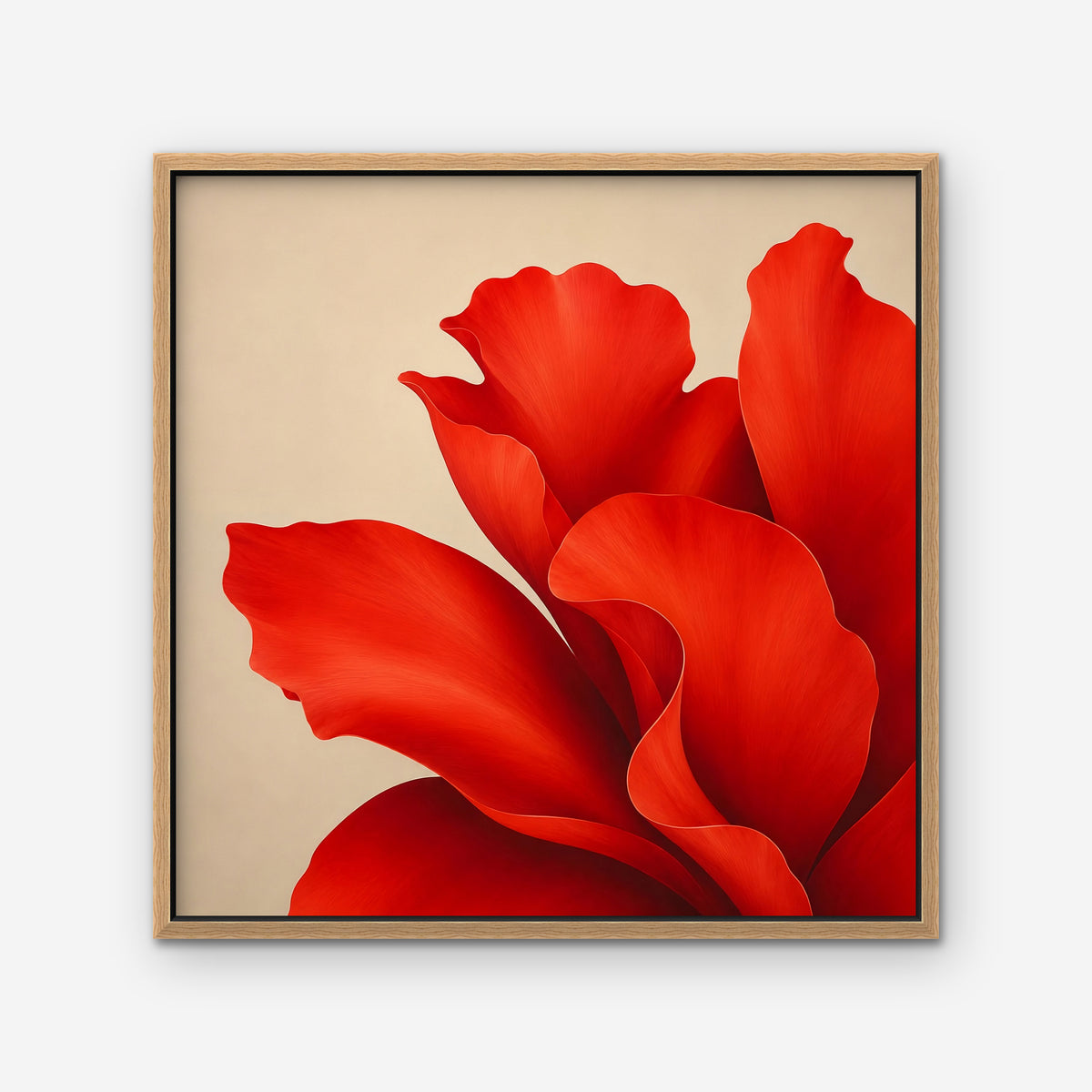 Red Silk Bloom Canvas Art - Square – Oak Floating Frame on white background
