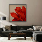 Red Silk Bloom Canvas Art - Square – Silver Floating Frame in room setting