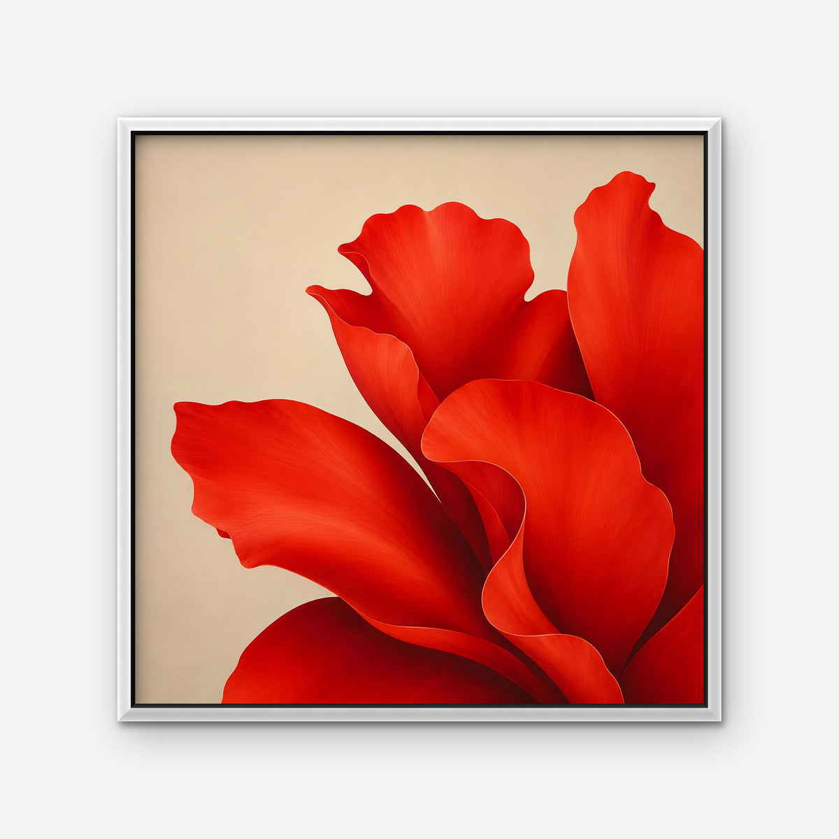 Red Silk Bloom Canvas Art - Square – White Floating Frame on white background