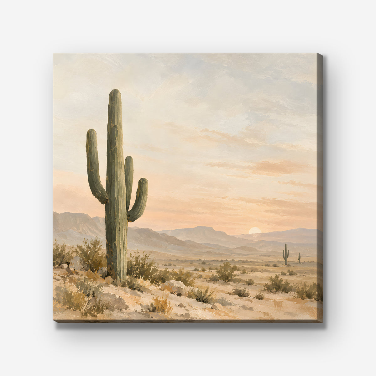 Saguaro Sunset Canvas Art - Square – Stretched Canvas Only on white background