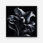 Silver Iris Canvas Art - Square – Black Floating Frame on white background