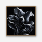 Silver Iris Canvas Art - Square – Oak Floating Frame on white background