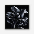 Silver Iris Canvas Art - Square – Silver Floating Frame on white background