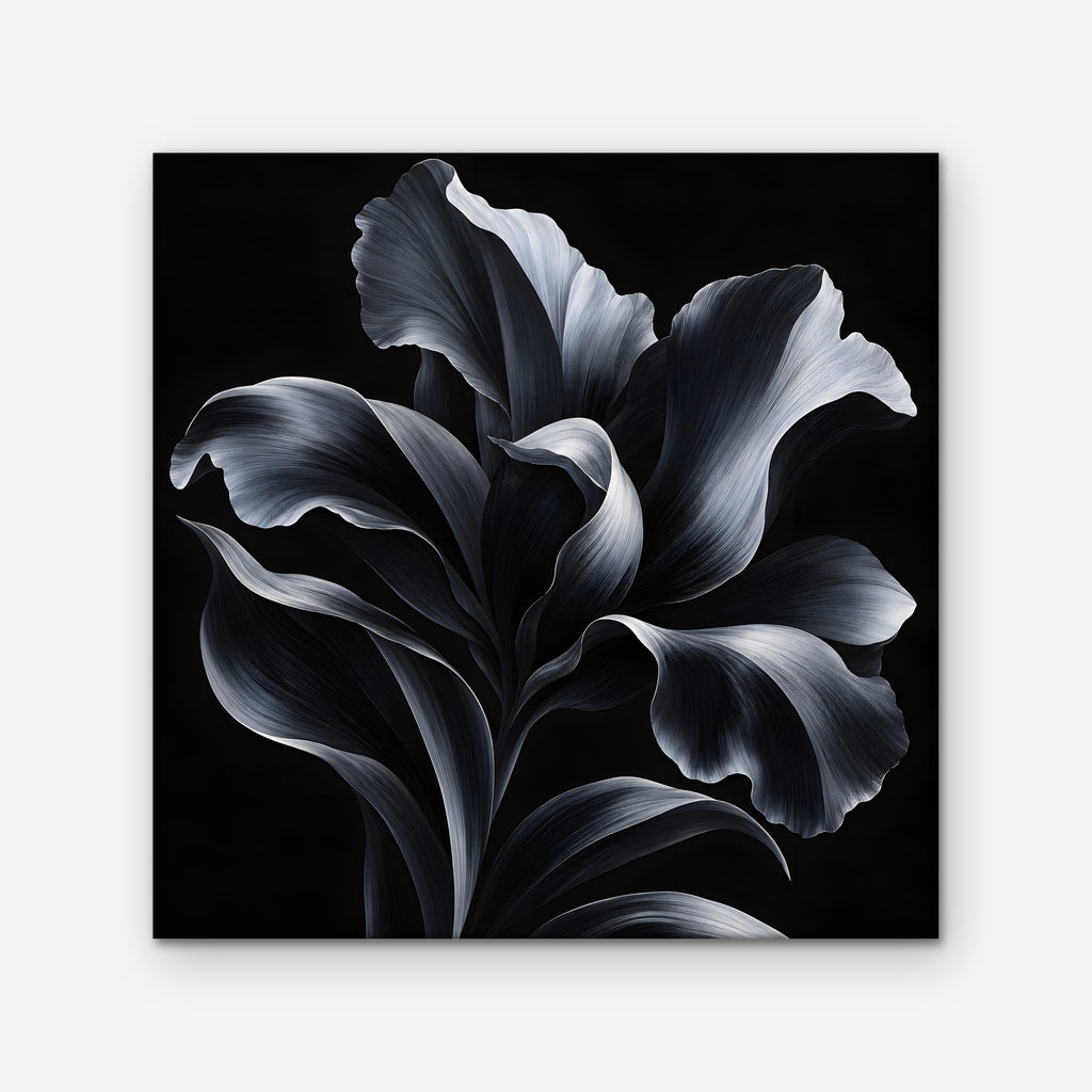 Silver Iris Canvas Art - Square – Stretched Canvas Only on white background
