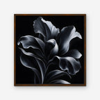 Silver Iris Canvas Art - Square – Walnut Floating Frame on white background