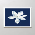 Midnight Magnolia Whisper – blue botanical canvas wall art print by Aspire Prints