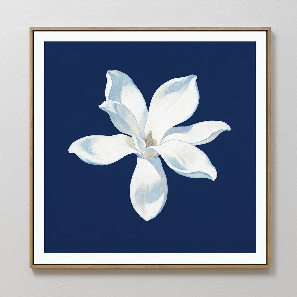 Magnolia Under Midnight – blue botanical canvas wall art print by Aspire Prints