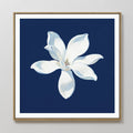 Magnolia Under Midnight – blue botanical canvas wall art print by Aspire Prints