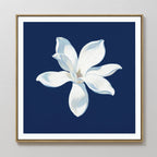Magnolia Under Midnight – blue botanical canvas wall art print by Aspire Prints