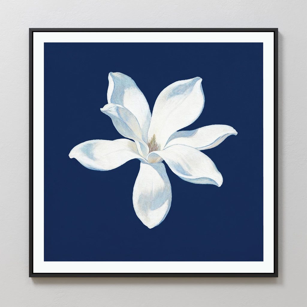 Magnolia Under Midnight – blue botanical canvas wall art print by Aspire Prints