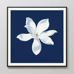 Magnolia Under Midnight – blue botanical canvas wall art print by Aspire Prints