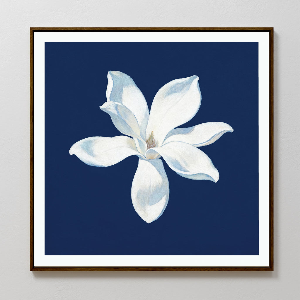 Magnolia Under Midnight – blue botanical canvas wall art print by Aspire Prints