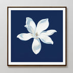 Magnolia Under Midnight – blue botanical canvas wall art print by Aspire Prints