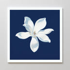 Magnolia Under Midnight – blue botanical canvas wall art print by Aspire Prints