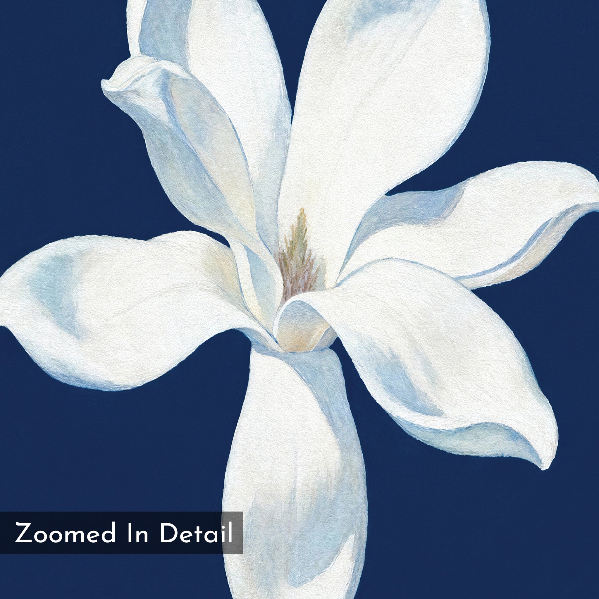 Moonlit Bloom in Velvet Night – blue botanical canvas wall art print by Aspire Prints