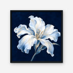 White Lily on Navy Canvas Art - Square – Black Floating Frame on white background