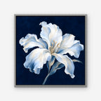 White Lily on Navy Canvas Art - Square – Silver Floating Frame on white background