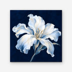 White Lily on Navy Canvas Art - Square – Stretched Canvas Only on white background