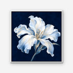 White Lily on Navy Canvas Art - Square – White Floating Frame on white background
